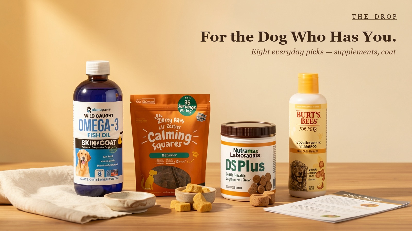 For the Dog Who Has You.