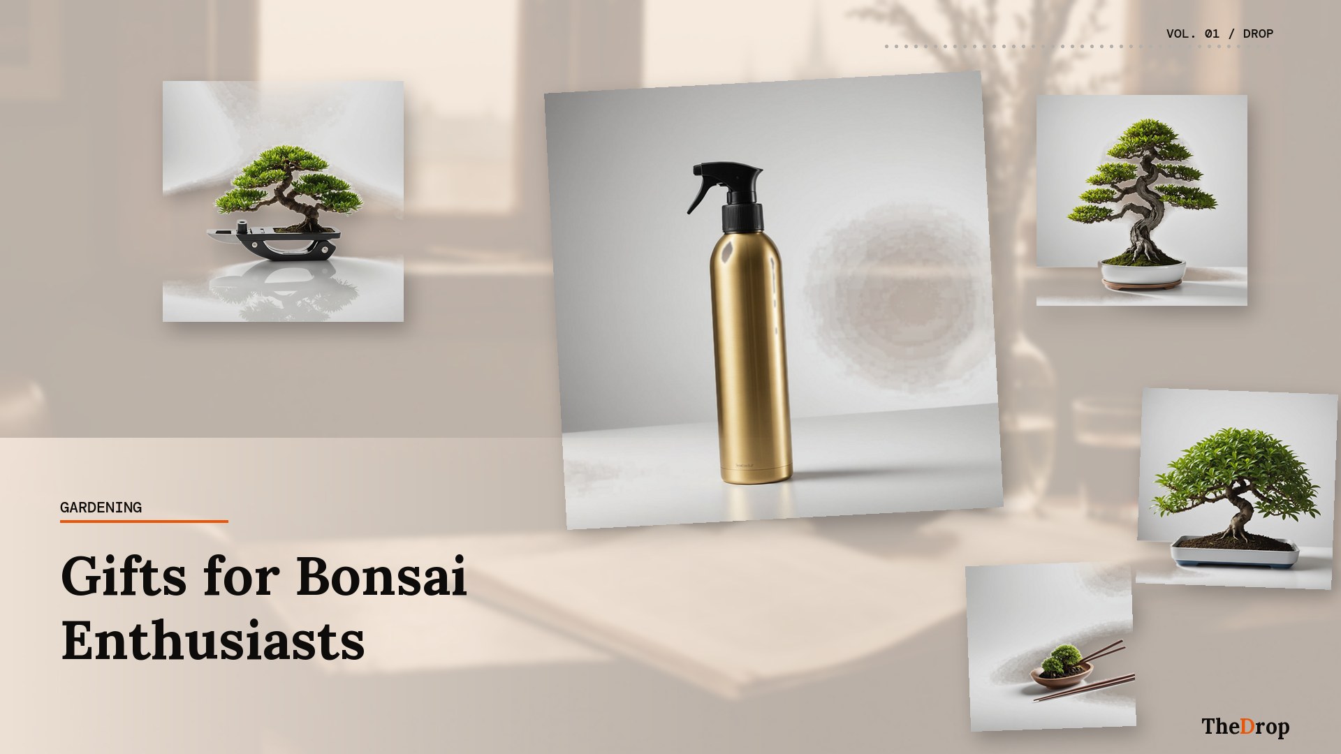 Gifts for Bonsai Enthusiasts