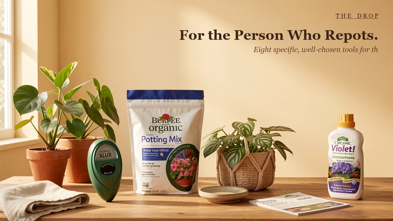 For the Person Who Repots.