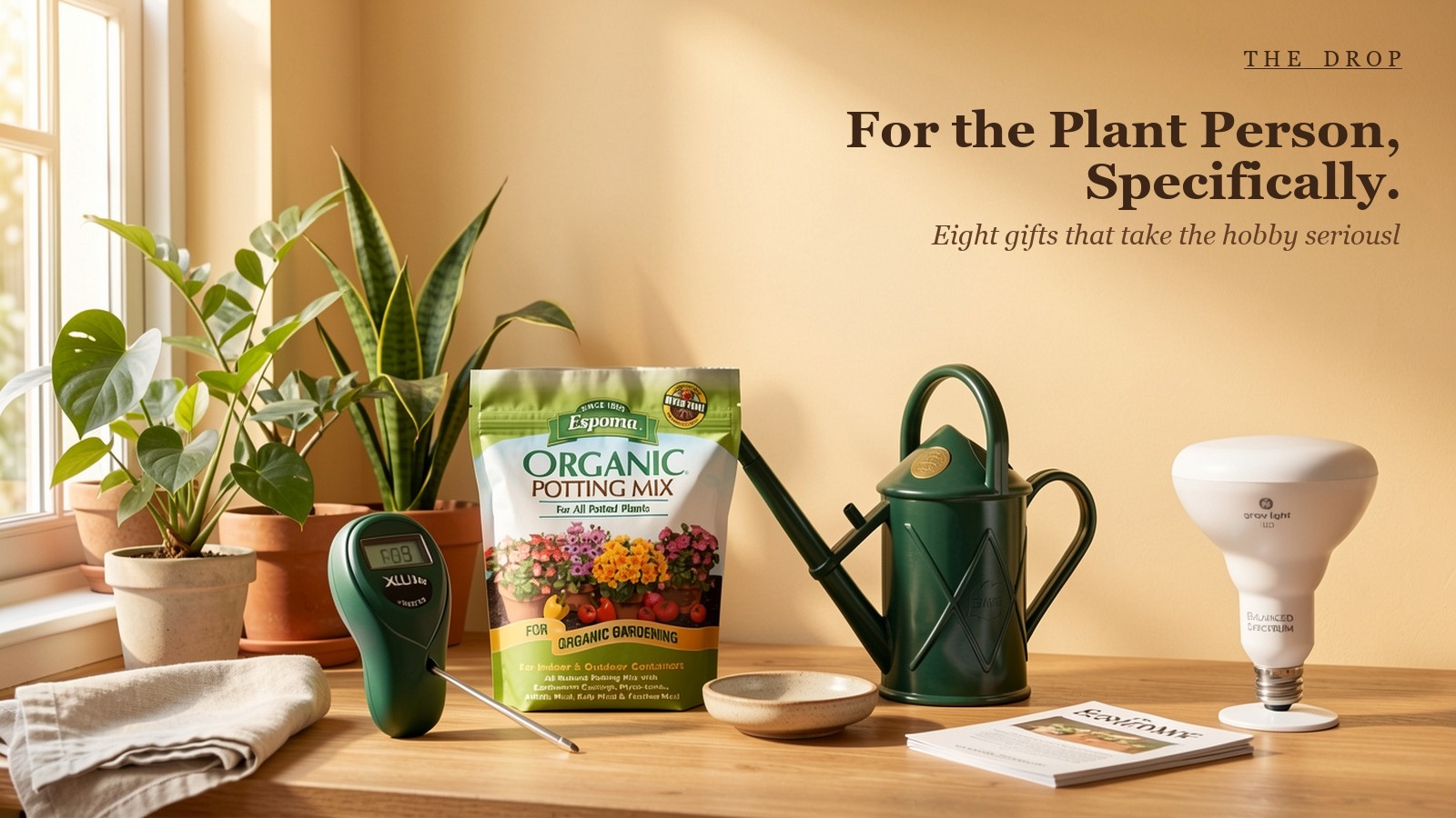 For the Plant Person, Specifically.