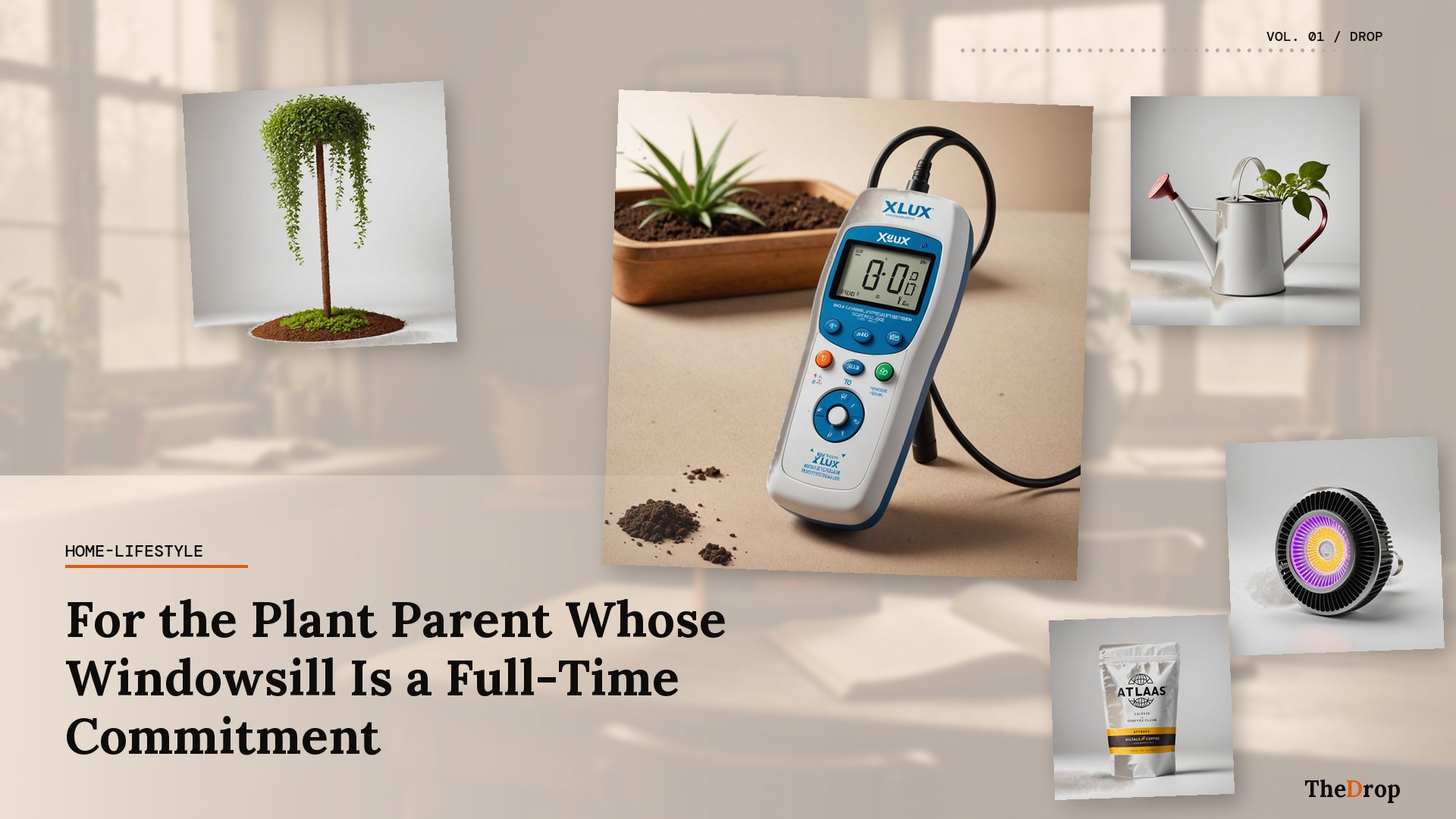 For the Plant Parent Whose Windowsill Is a Full-Time Commitment