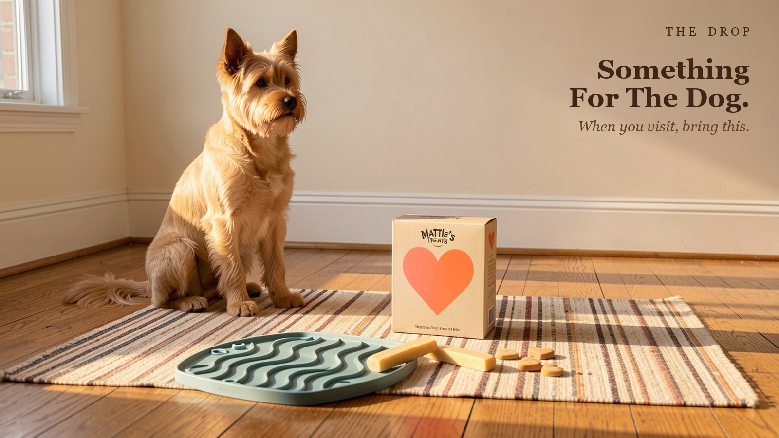 Something for the Dog.