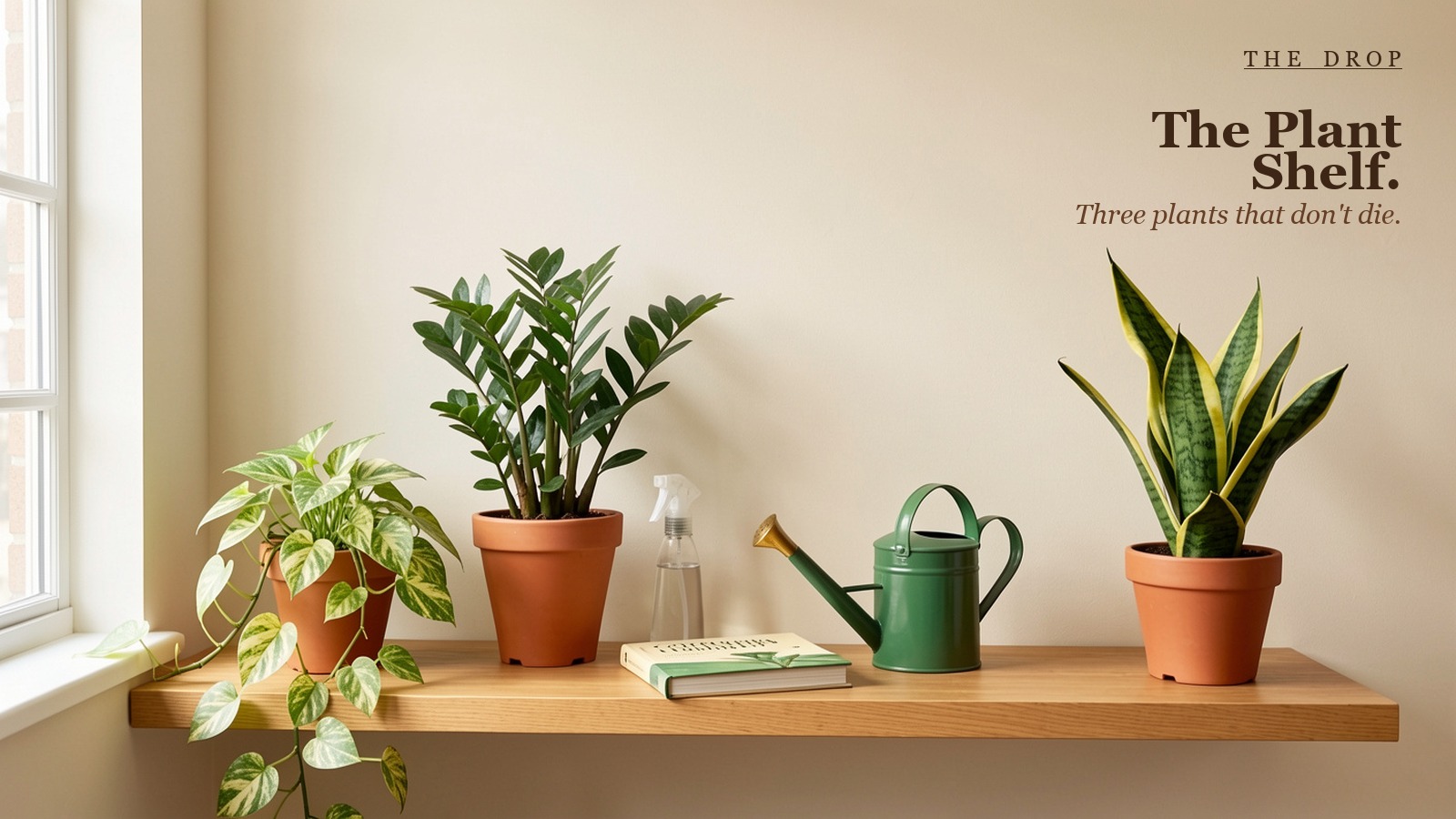 The Plant Shelf.