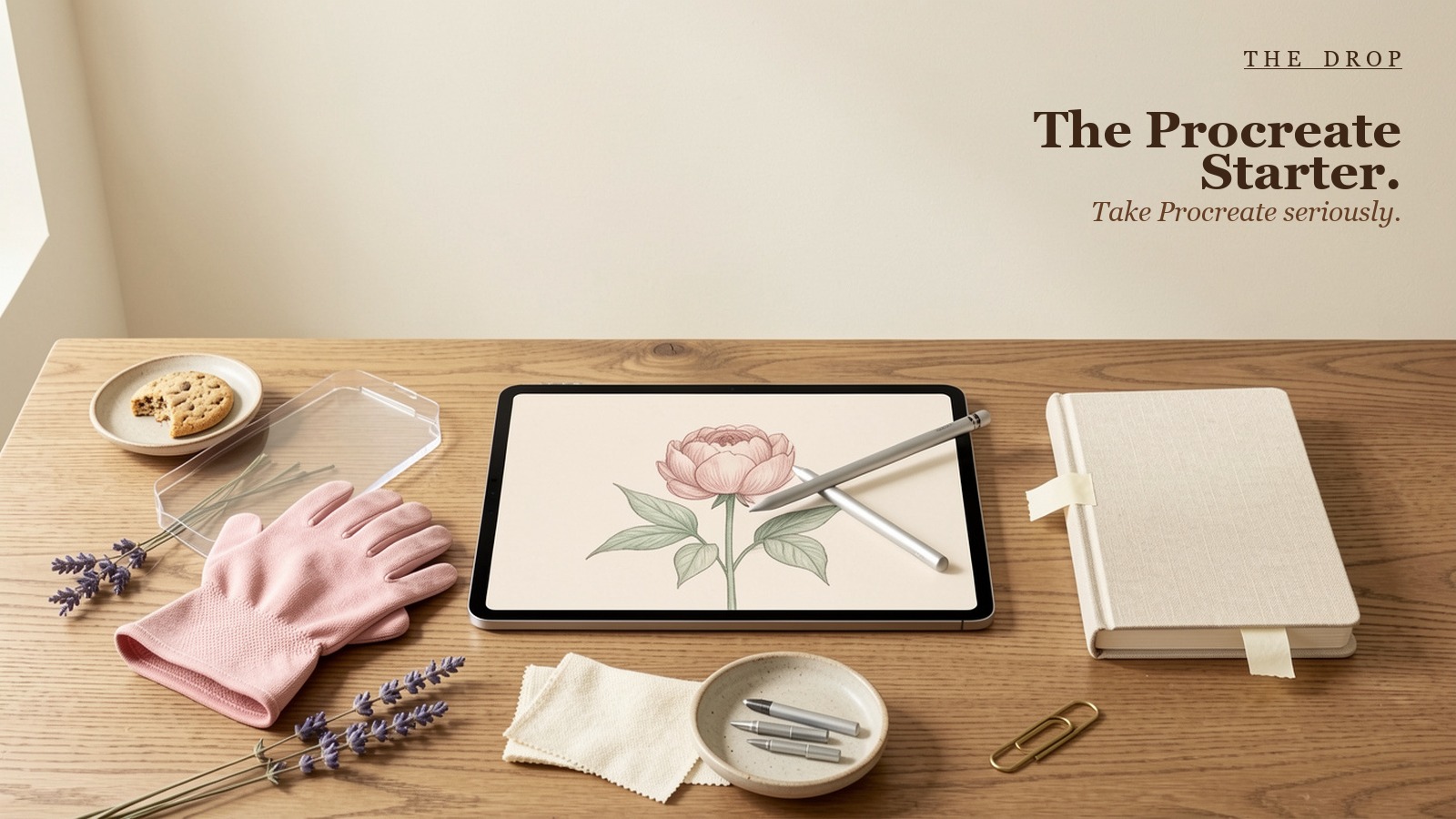 The Procreate Starter.